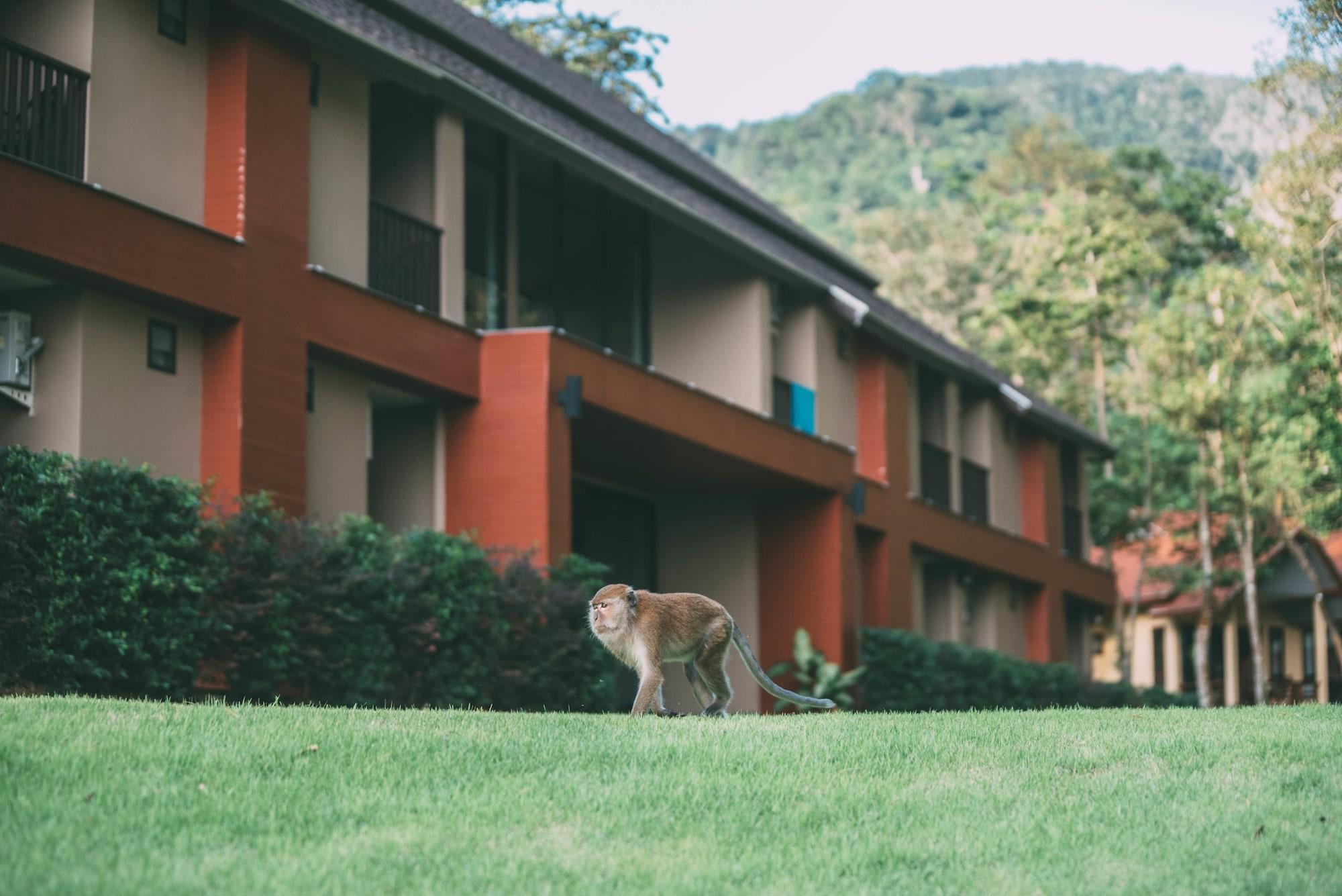 Tonsai Bay Resort Exteriér fotografie